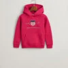 Kids Archive Shield Hoodie -Cheap Gant Store time 1681389027 202302 806784 615 flat fv 1