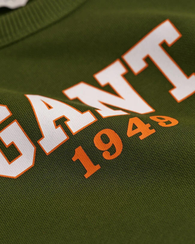 Kids Crew Neck Sweatshirt 4 Kids Crew Neck Sweatshirt - Image 2